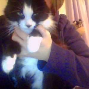 Meet your Posher, Julia